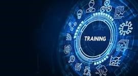 Top Web Dev't Trainings